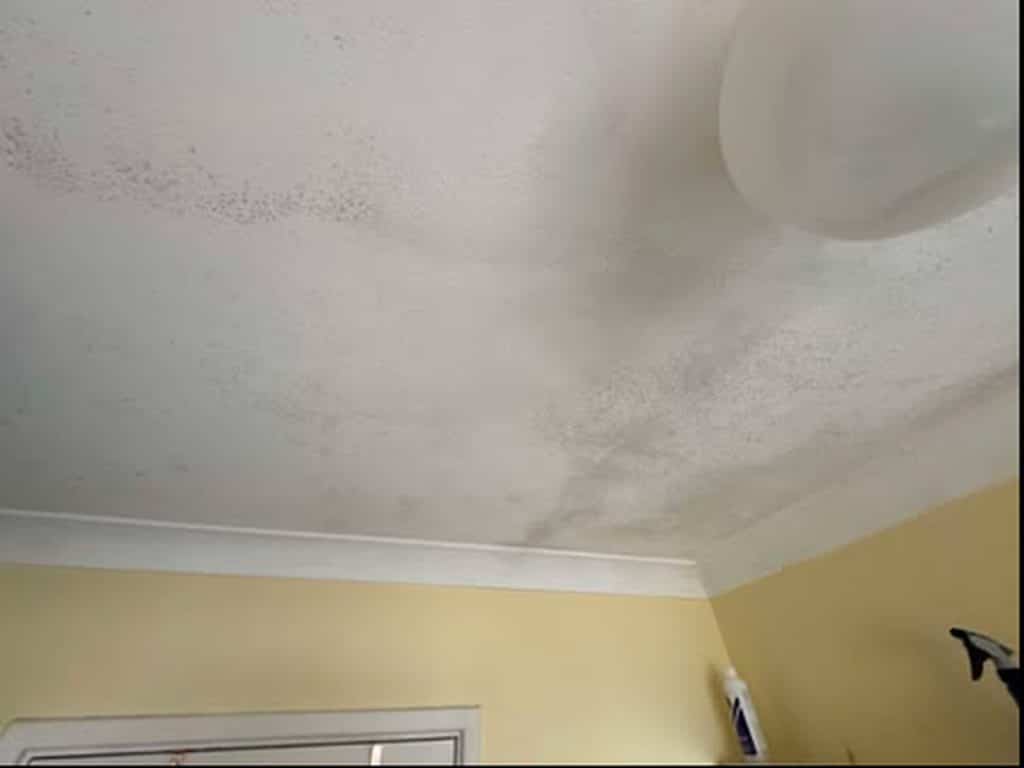Mould and water stains on bedroom ceiling corner