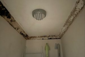 perth-ceiling-with-mould-and-damp-issue